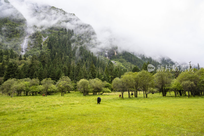 四川四姑娘山双桥沟自然风景