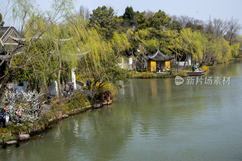 江苏省扬州市瘦西湖风景区湖岸春色