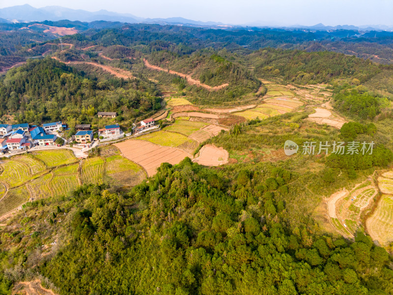 山区农业种植农田航拍图