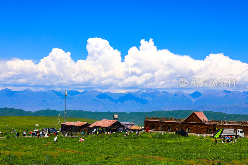 春季草原治愈大自然风景