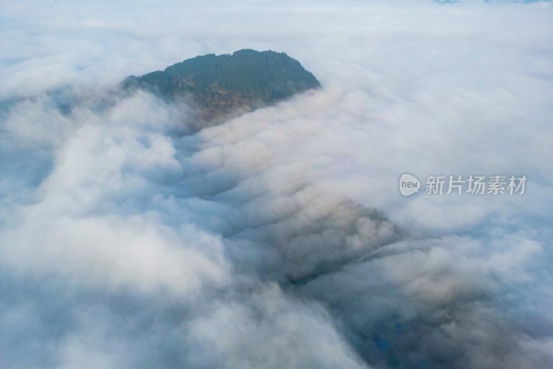 重庆酉阳：村庄初冬花絮