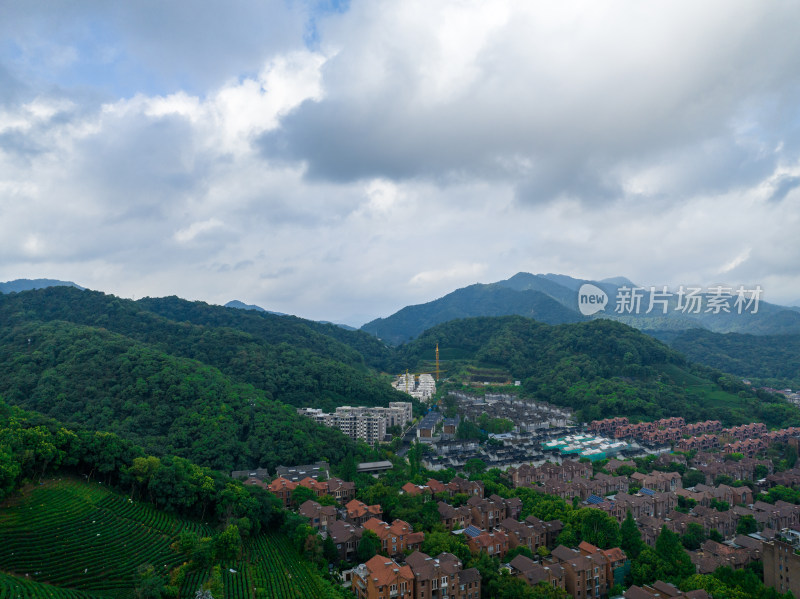 航拍杭州西湖龙井茶园