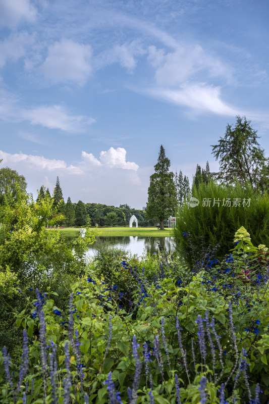 成都城市风景