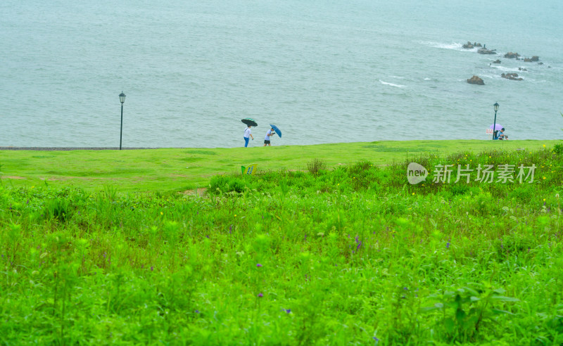 青岛小麦岛，海边草坪上一对情侣在奔跑