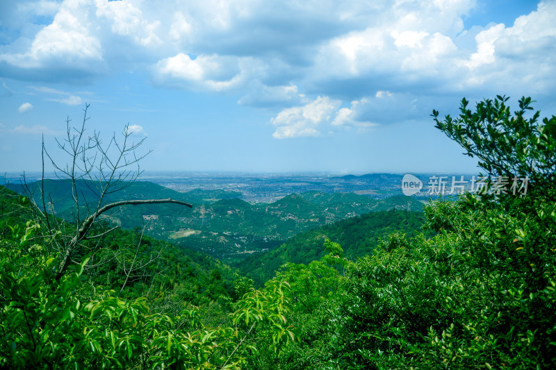 山中的风景