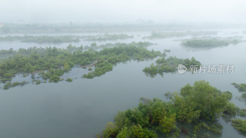 河流湿地雨雾朦胧自然风景