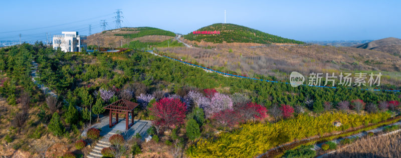 绿水青山就是金山银山荒山绿化环境保护