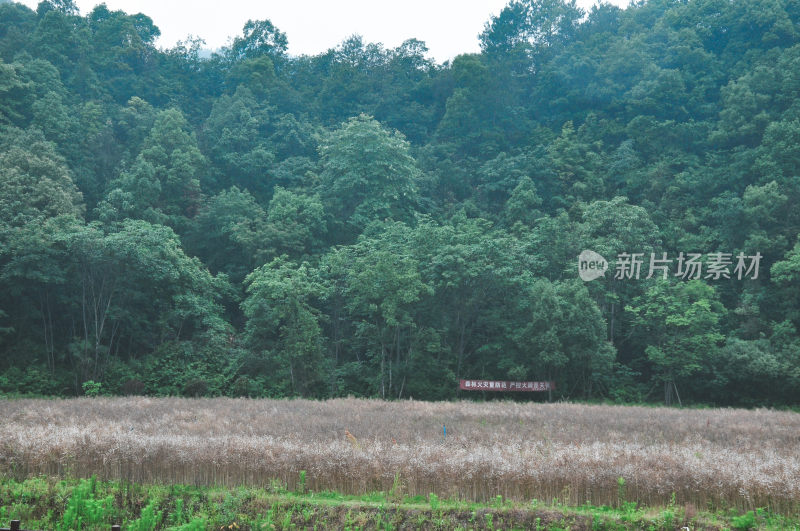 长沙风景，自然风光，长沙城景