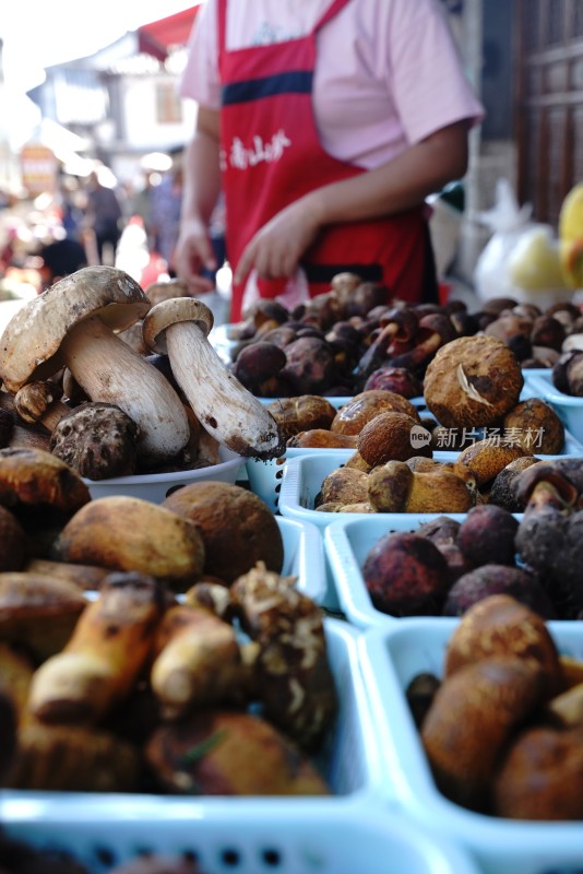 市场摊位上摆满各类新鲜野生菌