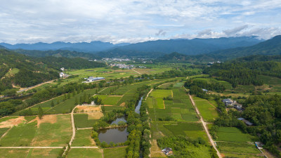 航拍武夷山绿色农田与茶园