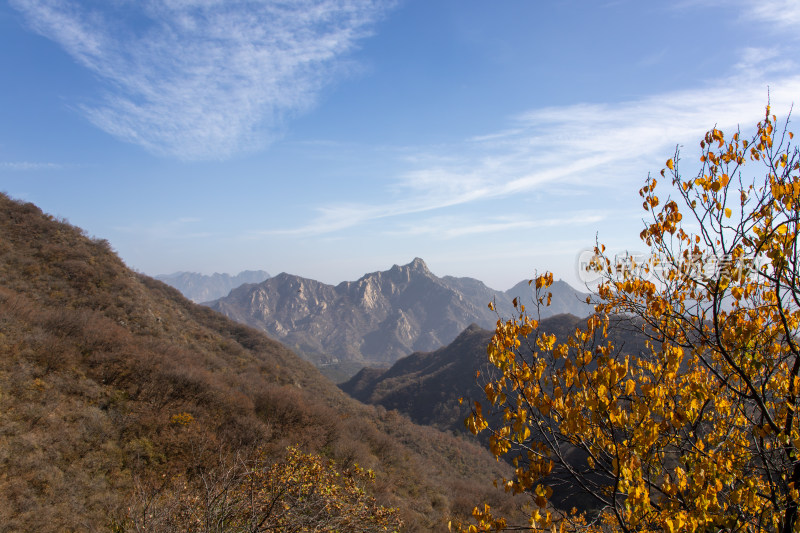 北京慕田峪长城秋色山峦叠嶂层林尽染