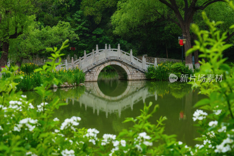 青州范公亭公园小桥流水风景