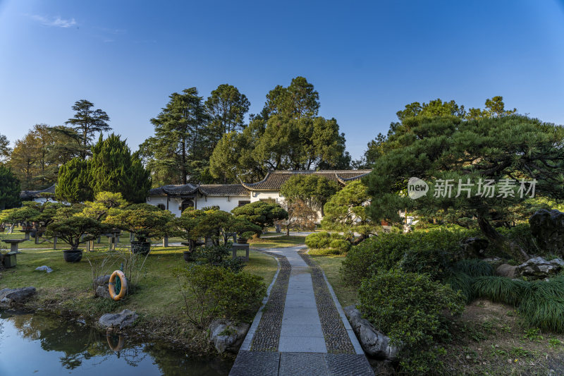 杭州西子湖畔杭州花圃风景