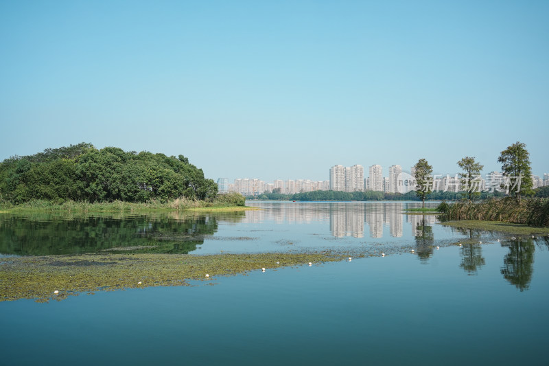 虎丘生态湿地公园