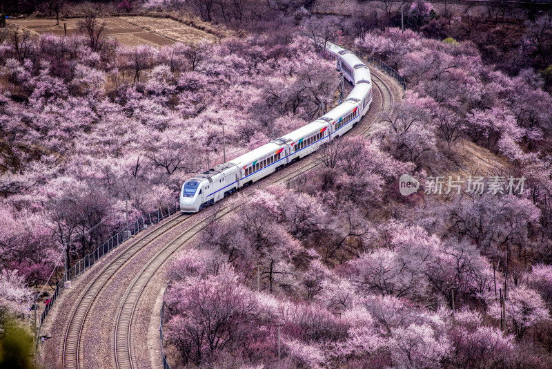 北京居庸关通往春天的列车