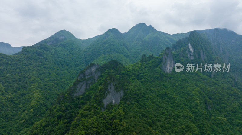 山峦林海风光