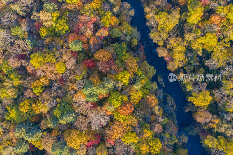 俯拍秋季森林与河流