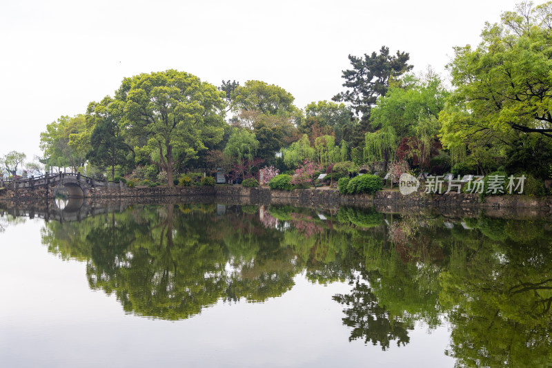 烟雨江南无锡蠡园春色