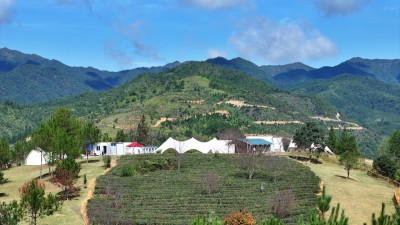 露营基地草帐篷烧烤休闲户外高山顶生活乡村