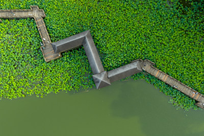 航拍福州福建农林大学校园风光