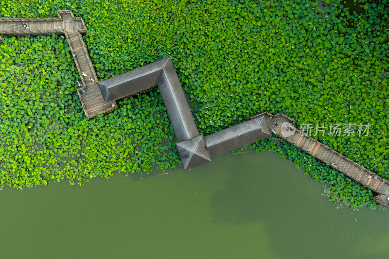 航拍福州福建农林大学校园风光