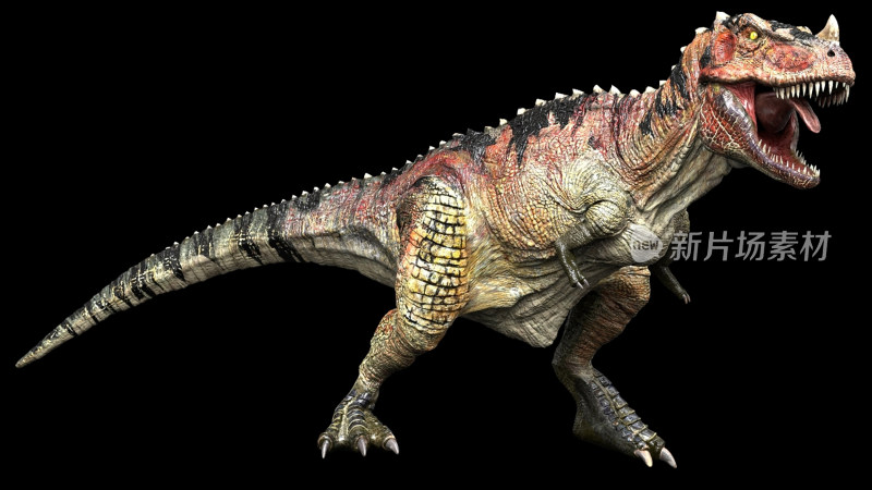 霸王龙恐龙 食肉恐龙 肉食恐龙凶猛类恐龙