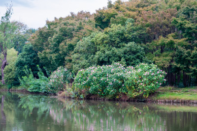 江苏镇江市焦山风景区风光