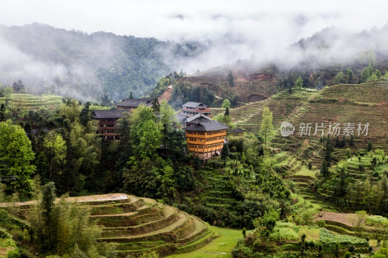 龙脊梯田