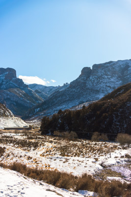 森林雪山蓝天白云竖图