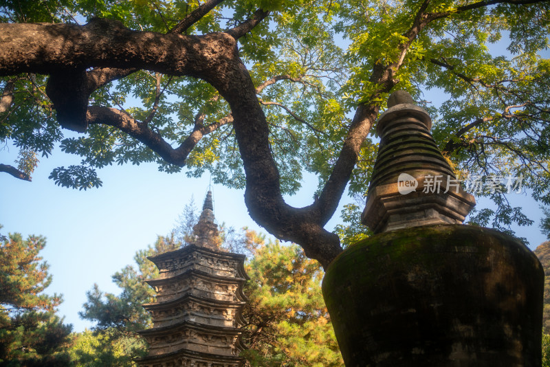 潭柘寺塔林