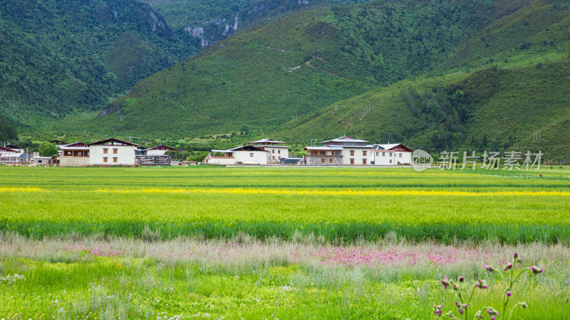 香格里拉纳帕海景区