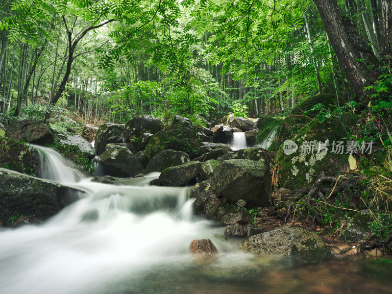 雨季安吉山间竹林水流瀑布