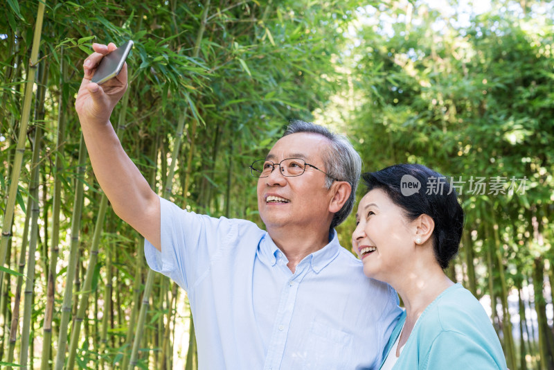 一对老夫妻在竹林散步