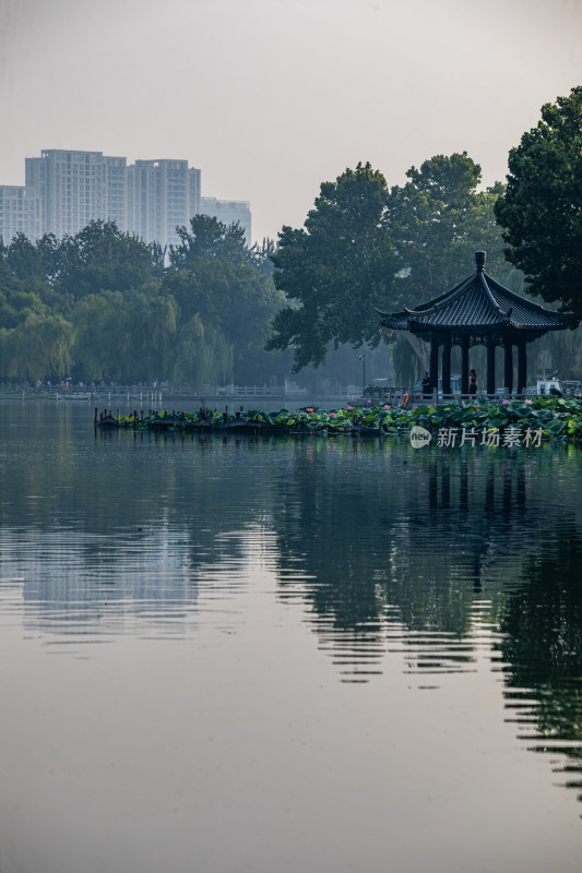 山东济南大明湖风景区自然景观与城市风光