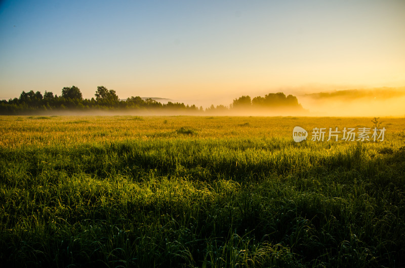 晨雾中的广阔田野风光