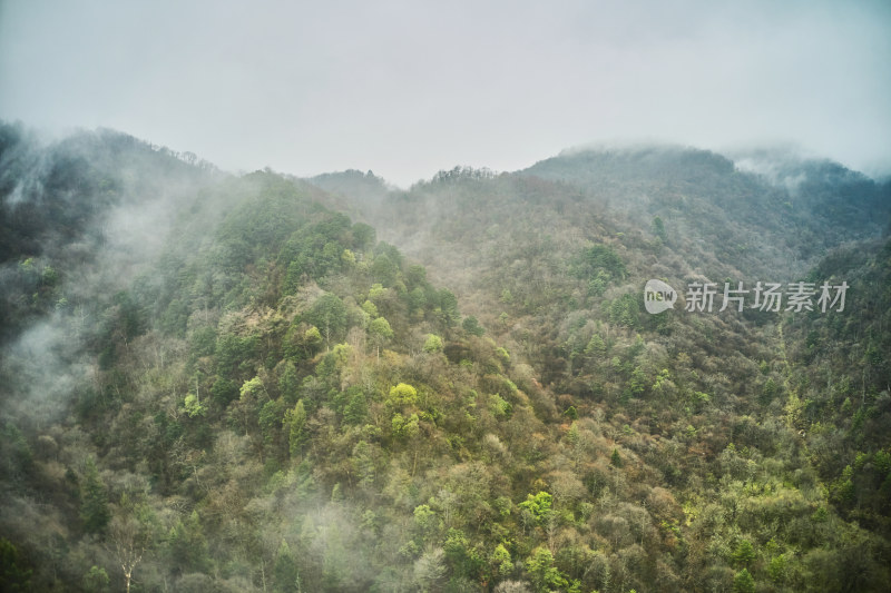 神秘的原始神农架林区