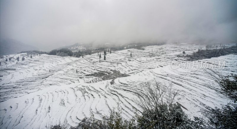 重庆酉阳：千氹田边飞白雪