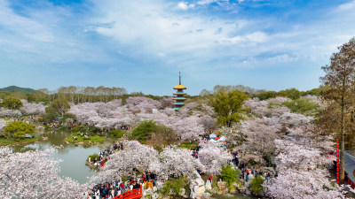 湖北武汉东湖樱花园里的五重塔