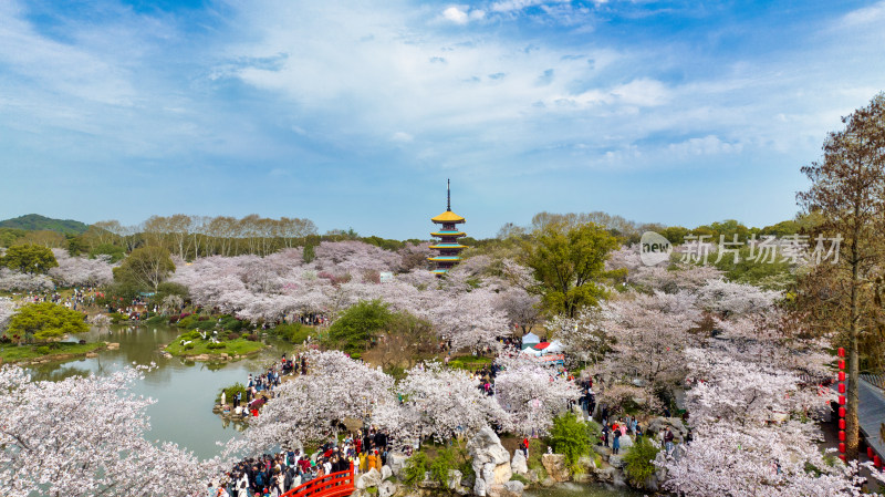 湖北武汉东湖樱花园里的五重塔