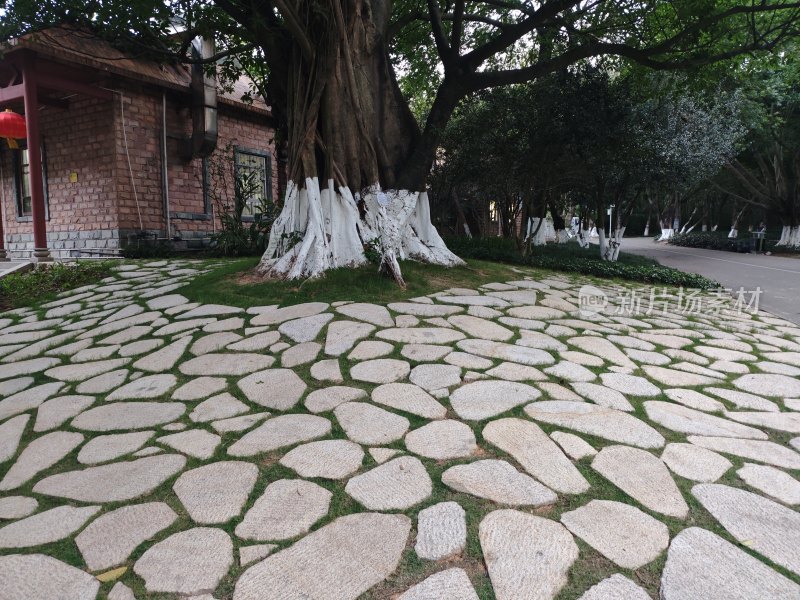 树下石板路与砖房景观