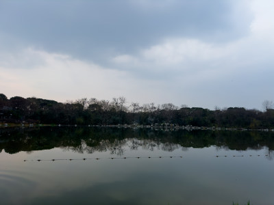 天空下湖边的风景