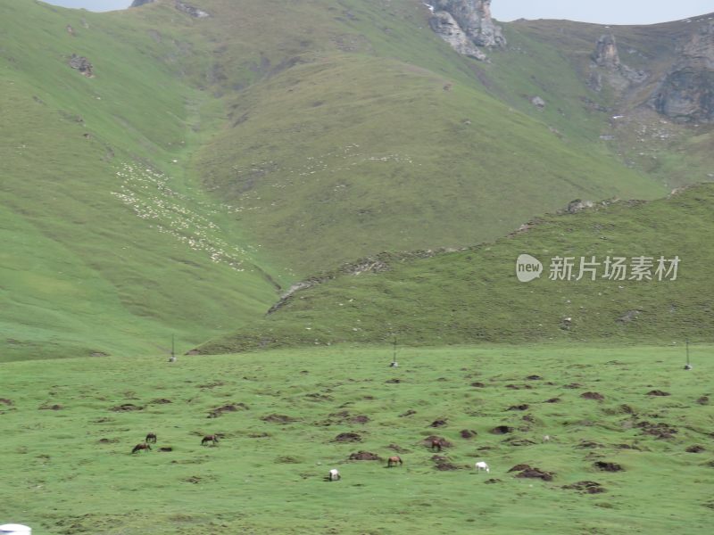 新疆独库公路风景