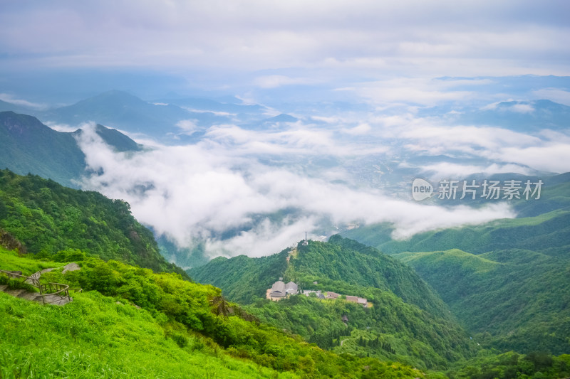 夏天江西武功山的高山草甸