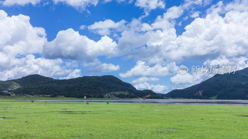 文海丽江风景