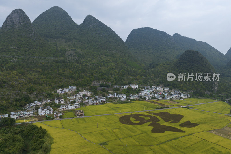 贵州黔西南万峰林福字田风光