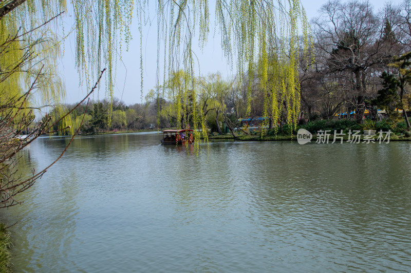 江苏省扬州市瘦西湖风景区湖岸春色