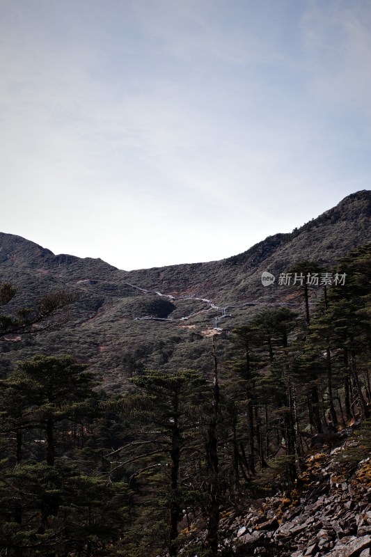 山林间的山脉与植被景观