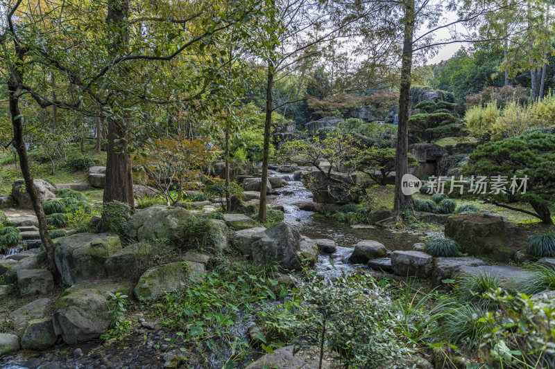 杭州西子湖畔杭州花圃风景