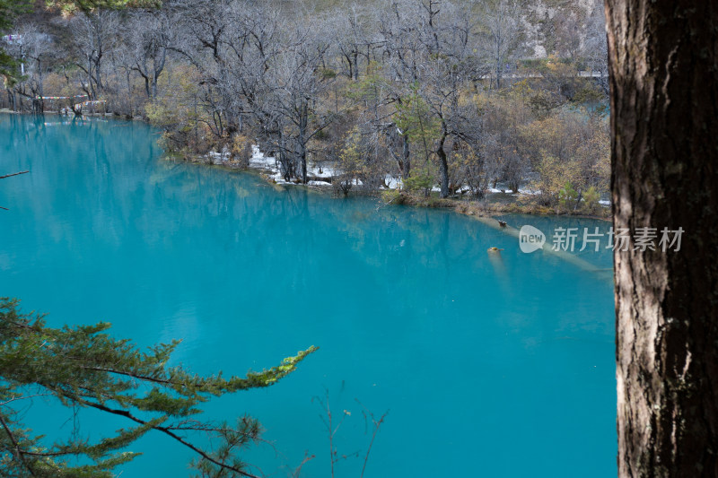 秋天四川阿坝州九寨沟老虎海景点