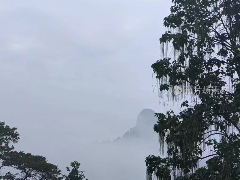 风景、雾天